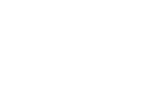 Blue Knight Shield